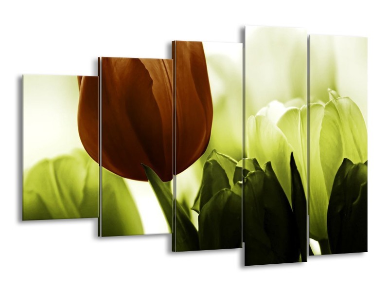 Canvas schilderij Tulpen | Bruin, Wit, Grijs | 150x100cm 5Luik