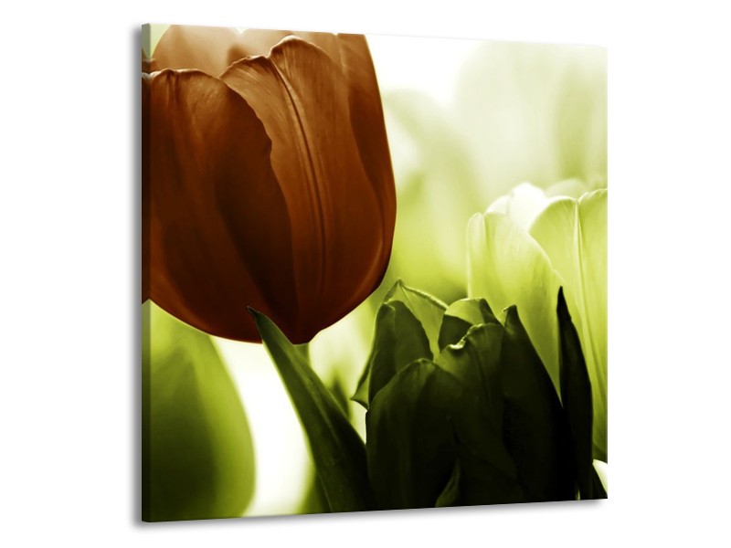 Canvas schilderij Tulpen | Bruin, Wit, Grijs | 50x50cm 1Luik