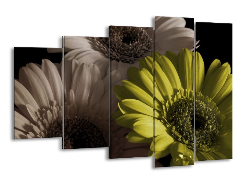 Canvas schilderij Bloem | Groen, Wit, Grijs | 150x100cm 5Luik