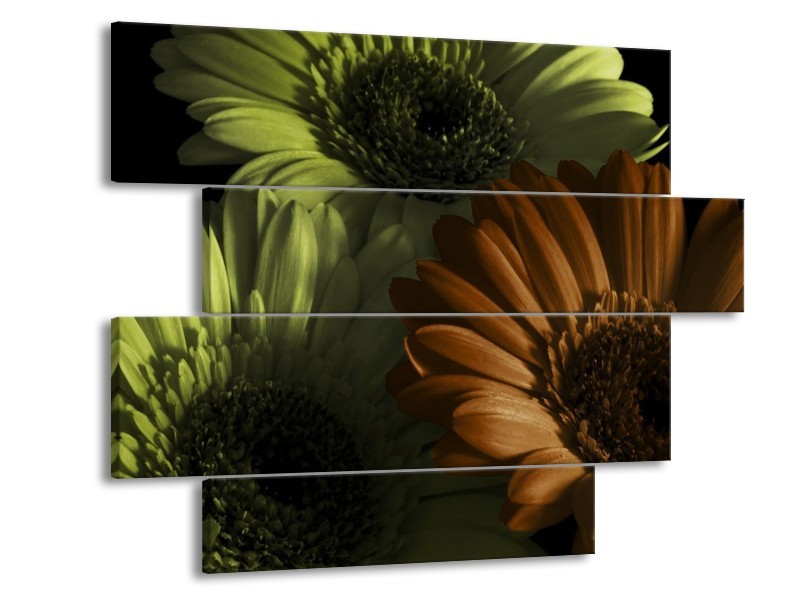 Canvas schilderij Bloem | Bruin, Groen | 115x85cm 4Luik