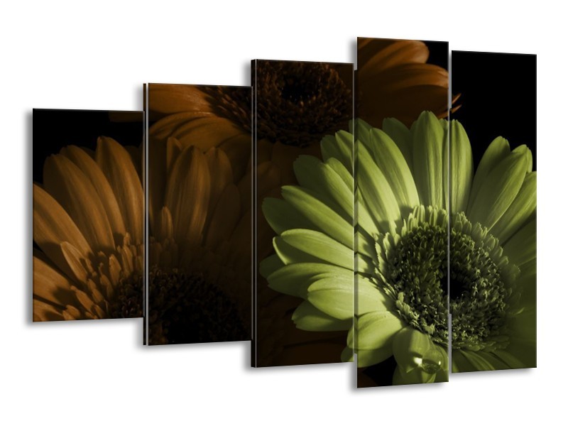 Canvas schilderij Bloem | Bruin, Groen | 150x100cm 5Luik
