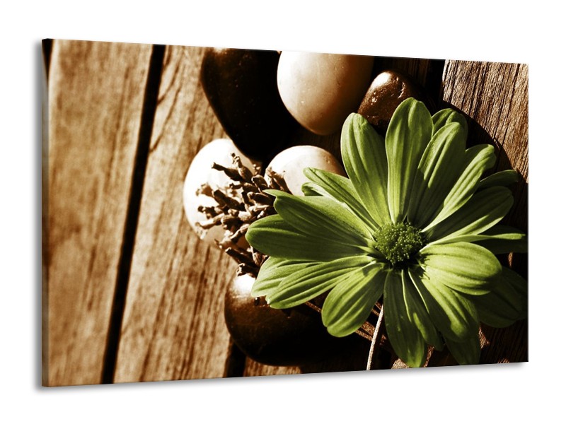 Canvas schilderij Bloem | Groen, Wit, Grijs | 140x90cm 1Luik