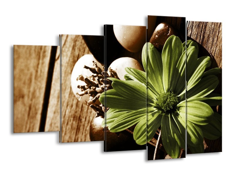 Canvas schilderij Bloem | Groen, Wit, Grijs | 150x100cm 5Luik