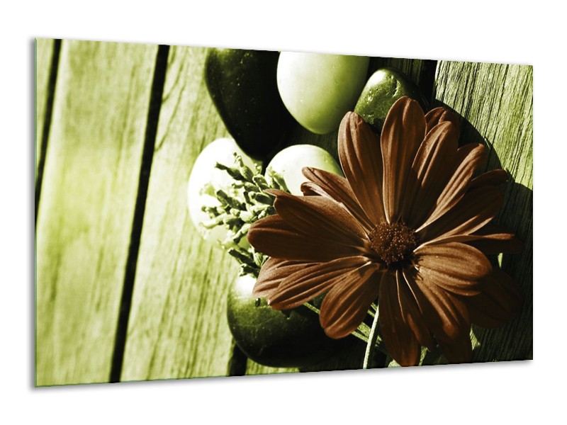 Canvas schilderij Bloem | Bruin, Wit, Groen | 120x70cm 1Luik