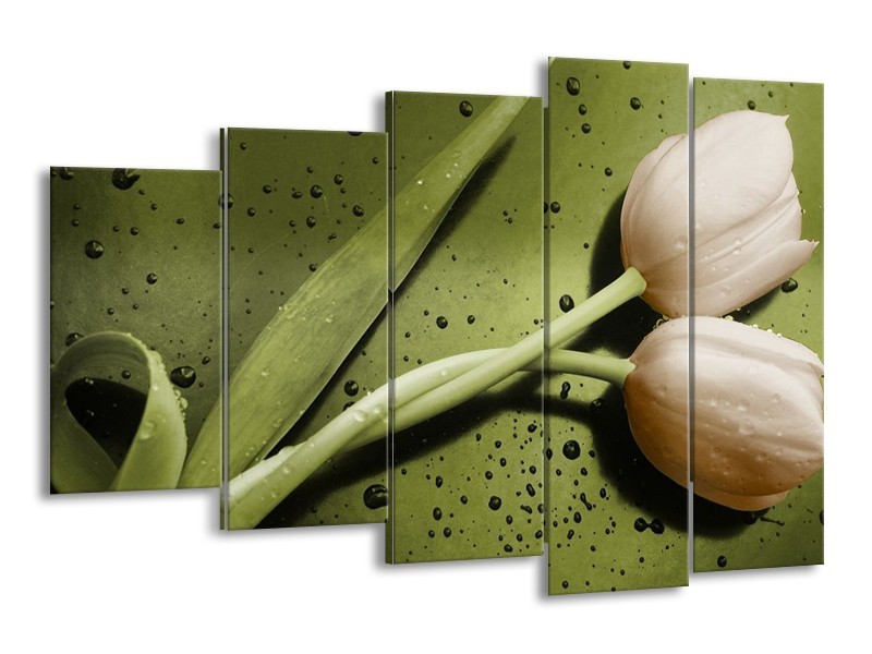 Canvas schilderij Tulp | Groen, Bruin | 150x100cm 5Luik