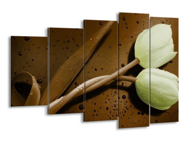 Canvas schilderij Tulp | Bruin, Groen | 150x100cm 5Luik