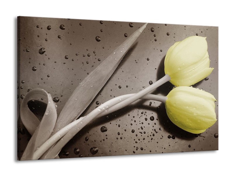 Canvas schilderij Tulp | Grijs, Geel, Zwart | 140x90cm 1Luik