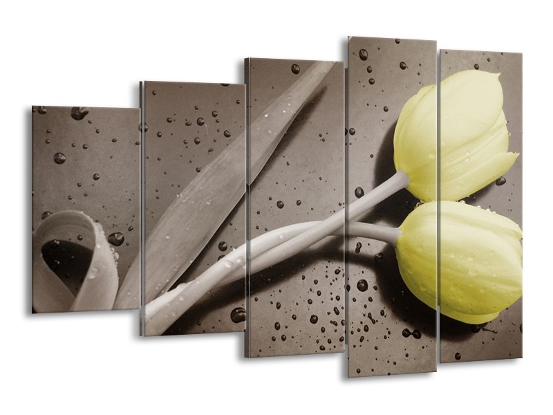 Canvas schilderij Tulp | Grijs, Geel, Zwart | 150x100cm 5Luik