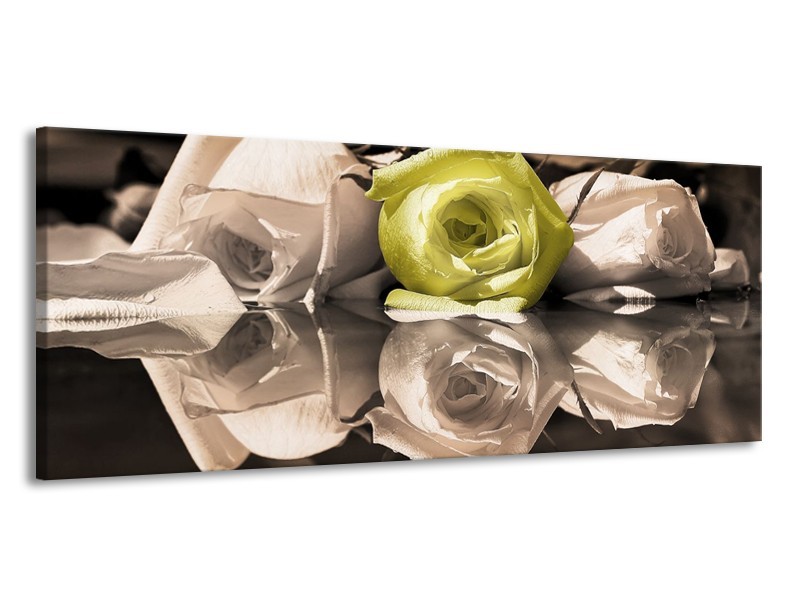 Canvas schilderij Roos | Groen, Grijs, Wit | 145x58cm 1Luik