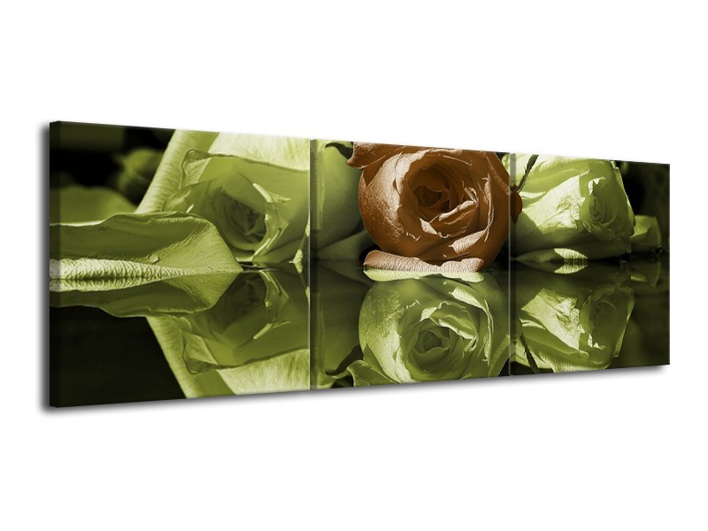 Canvas schilderij Roos | Groen, Bruin, Wit | 120x40cm 3Luik