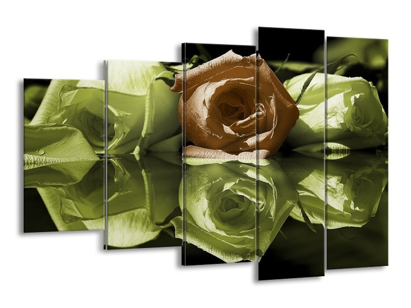 Canvas schilderij Roos | Groen, Bruin, Wit | 150x100cm 5Luik