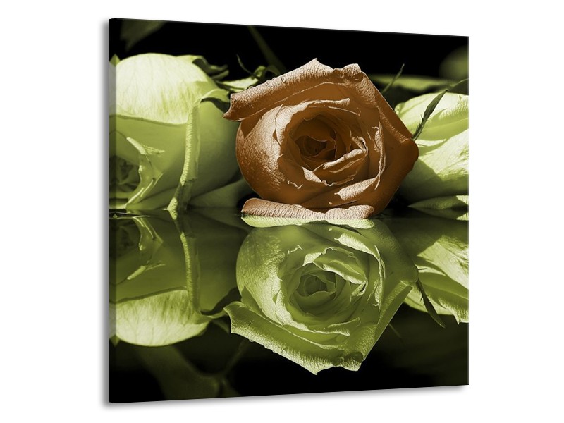 Canvas schilderij Roos | Groen, Bruin, Wit | 50x50cm 1Luik