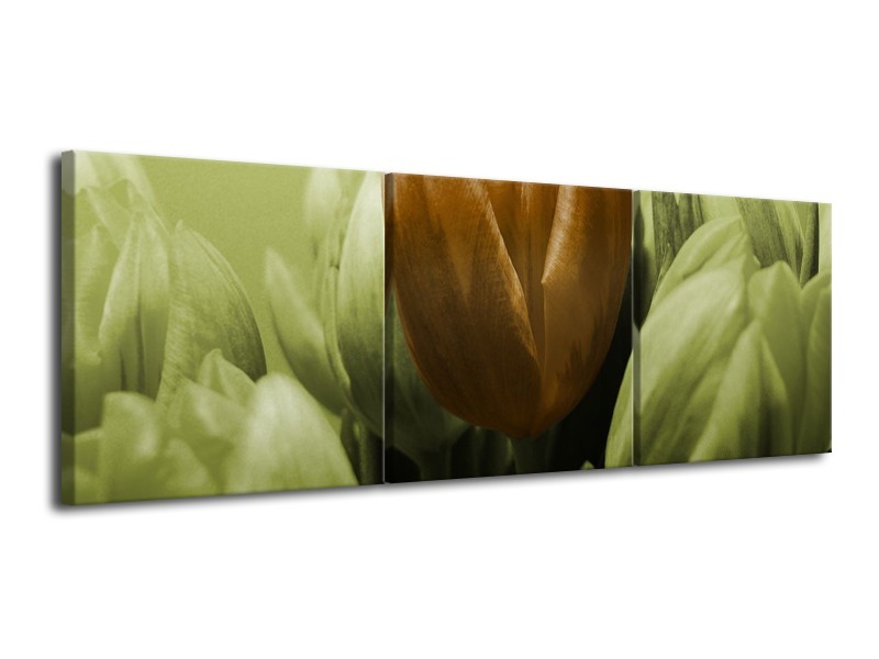 Glas schilderij Tulp | Bruin, Groen | 120x40cm 3Luik