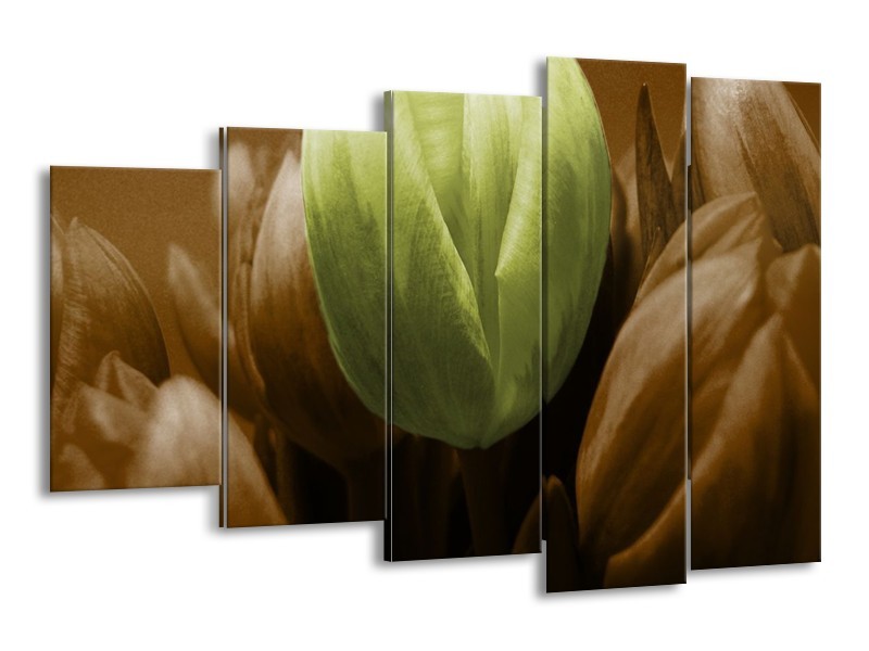 Canvas schilderij Tulp | Bruin, Groen | 150x100cm 5Luik