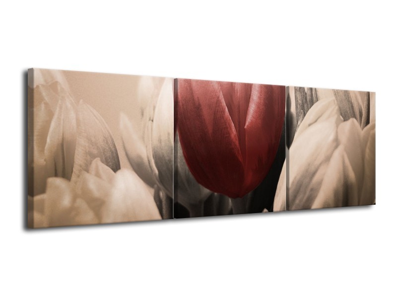 Canvas schilderij Tulp | Rood, Grijs, Zwart | 120x40cm 3Luik