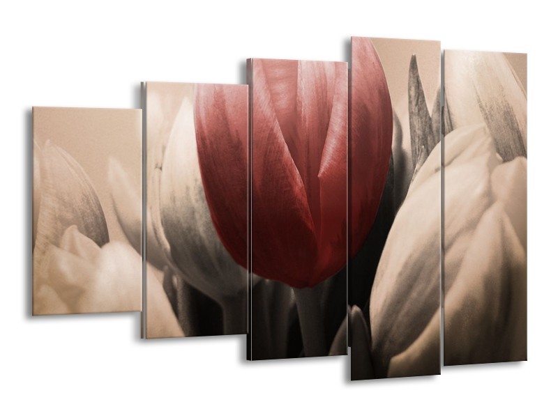 Canvas schilderij Tulp | Rood, Grijs, Zwart | 150x100cm 5Luik