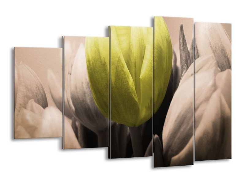 Canvas schilderij Tulp | Groen, Grijs, Zwart | 150x100cm 5Luik