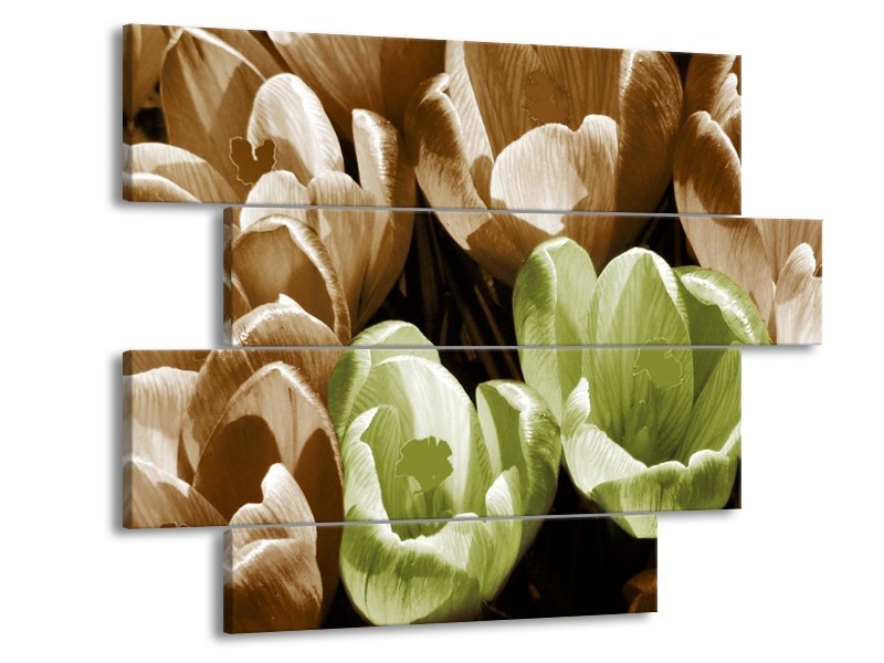 Canvas schilderij Krokus | Groen, Bruin, Wit | 115x85cm 4Luik
