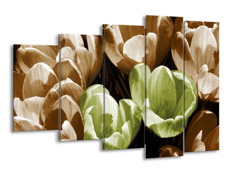 Canvas schilderij Krokus | Groen, Bruin, Wit | 150x100cm 5Luik