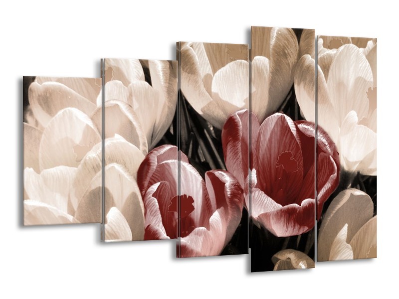 Canvas schilderij Krokus | Bruin, Grijs, Wit | 150x100cm 5Luik