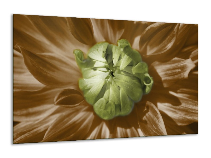 Canvas schilderij Bloem | Groen, Bruin, Wit | 120x70cm 1Luik
