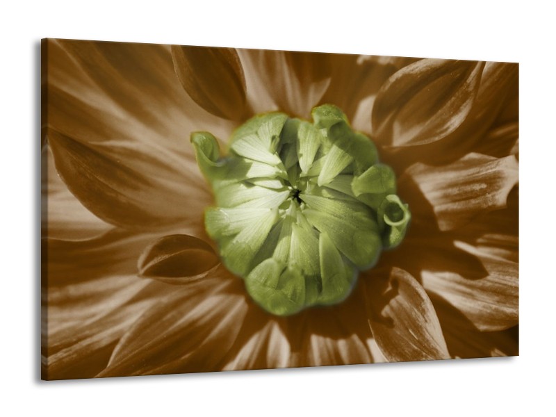 Canvas schilderij Bloem | Groen, Bruin, Wit | 140x90cm 1Luik
