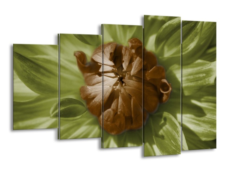 Canvas schilderij Bloem | Groen, Bruin, Wit | 150x100cm 5Luik