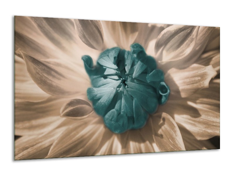 Canvas schilderij Bloem | Blauw, Wit, Grijs | 120x70cm 1Luik