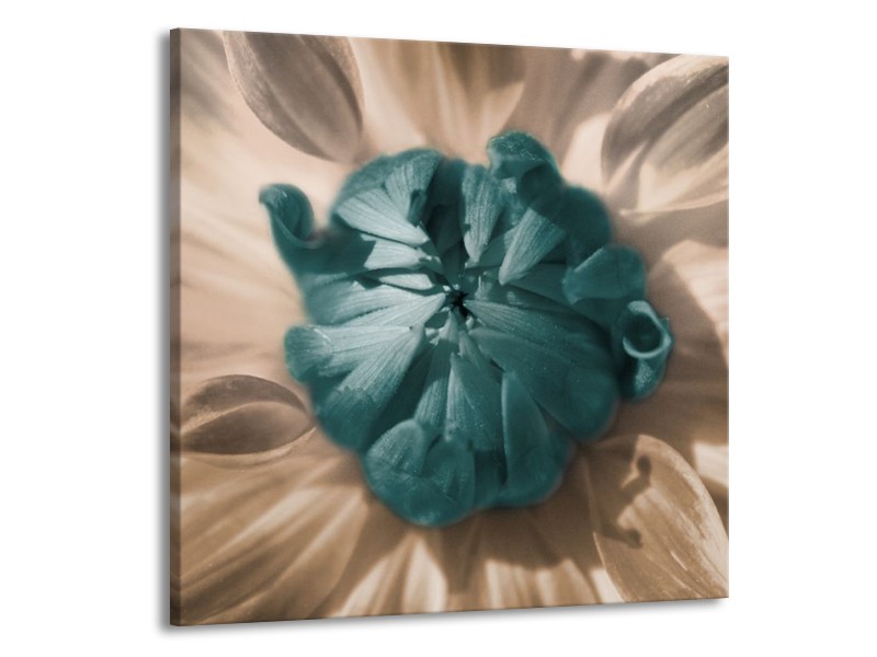Glas schilderij Bloem | Blauw, Wit, Grijs | 50x50cm 1Luik
