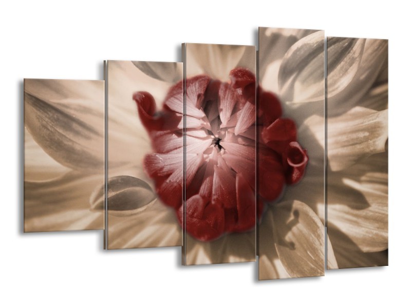 Canvas schilderij Bloem | Bruin, Wit, Grijs | 150x100cm 5Luik