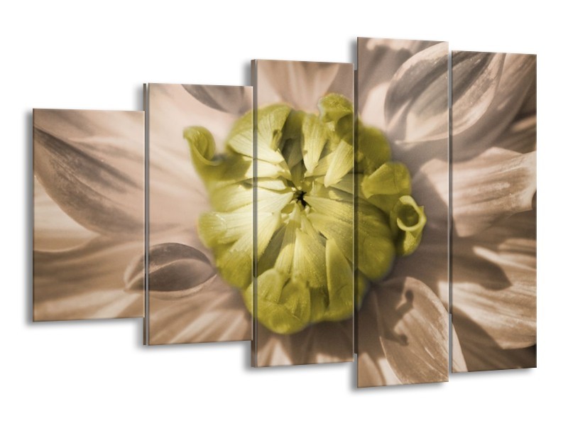 Canvas schilderij Bloem | Groen, Wit, Grijs | 150x100cm 5Luik