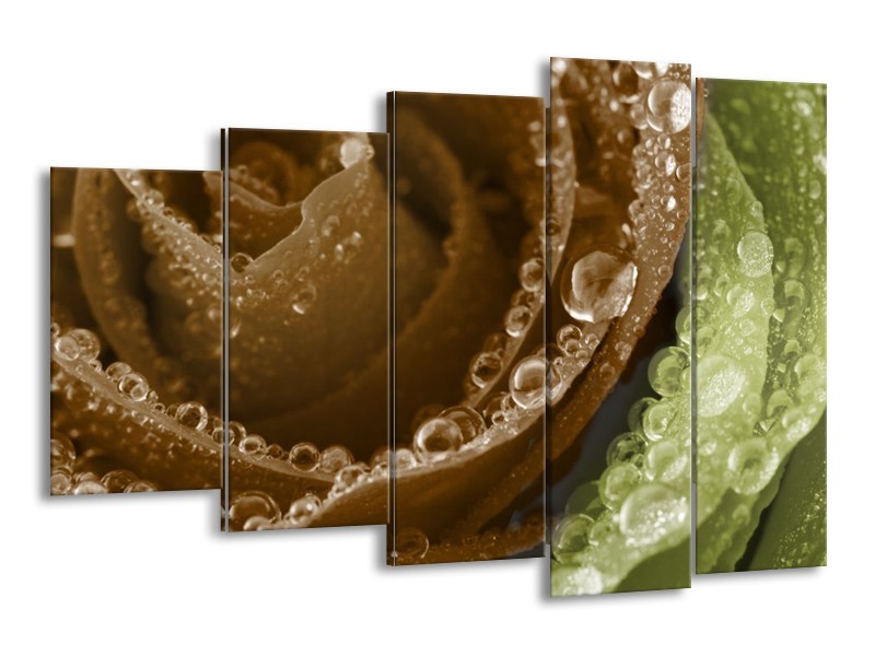 Canvas schilderij Roos | Bruin, Groen | 150x100cm 5Luik