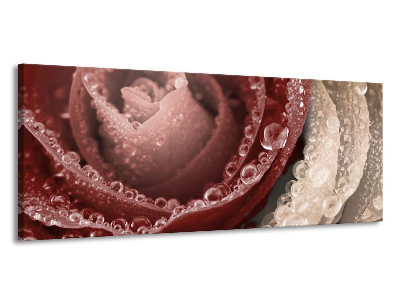 Canvas schilderij Roos | Bruin, | 145x58cm 1Luik