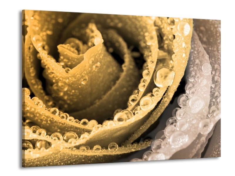 Canvas schilderij Roos | Goud | 100x70cm 1Luik