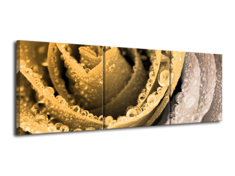 Canvas schilderij Roos | Goud | 120x40cm 3Luik