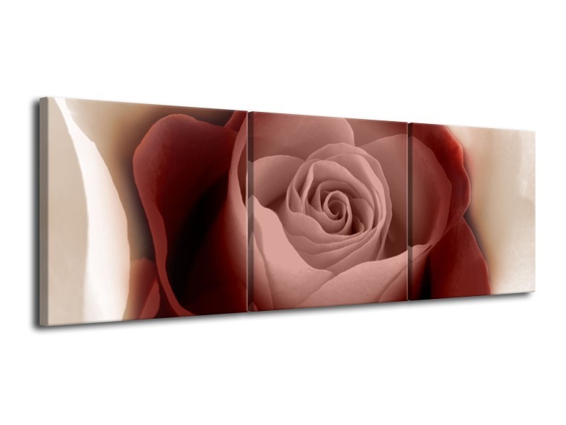 Canvas schilderij Roos | Bruin, Wit, Zwart | 120x40cm 3Luik