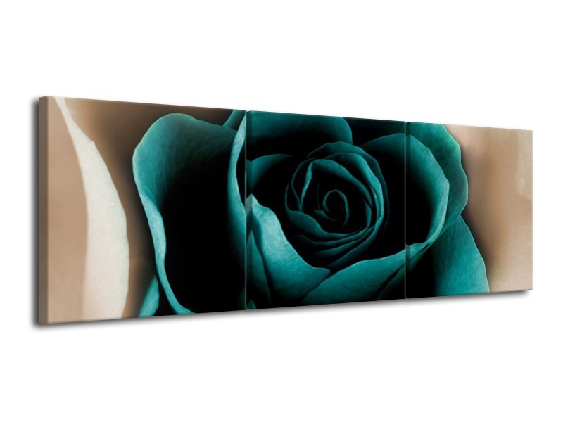 Canvas schilderij Roos | Blauw, Wit, Zwart | 120x40cm 3Luik