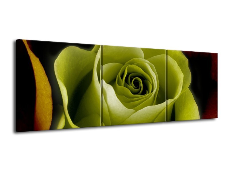 Canvas schilderij Roos | Groen, Wit, Zwart | 120x40cm 3Luik