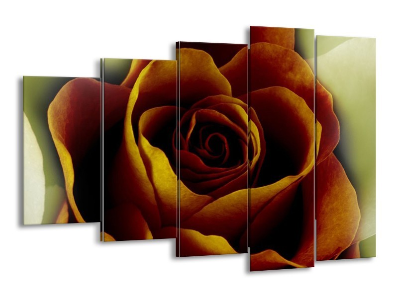 Canvas schilderij Roos | Bruin, Wit, Zwart | 150x100cm 5Luik