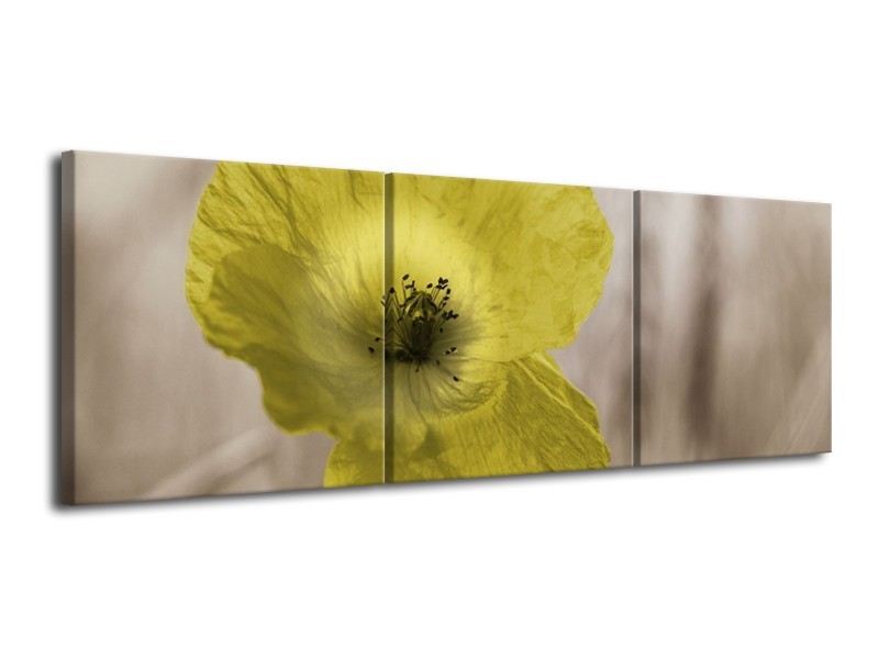 Canvas schilderij Klaproos | Groen, Wit, Zwart | 120x40cm 3Luik