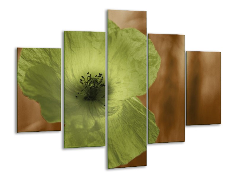 Canvas schilderij Klaproos | Bruin, Groen, Zwart | 100x70cm 5Luik
