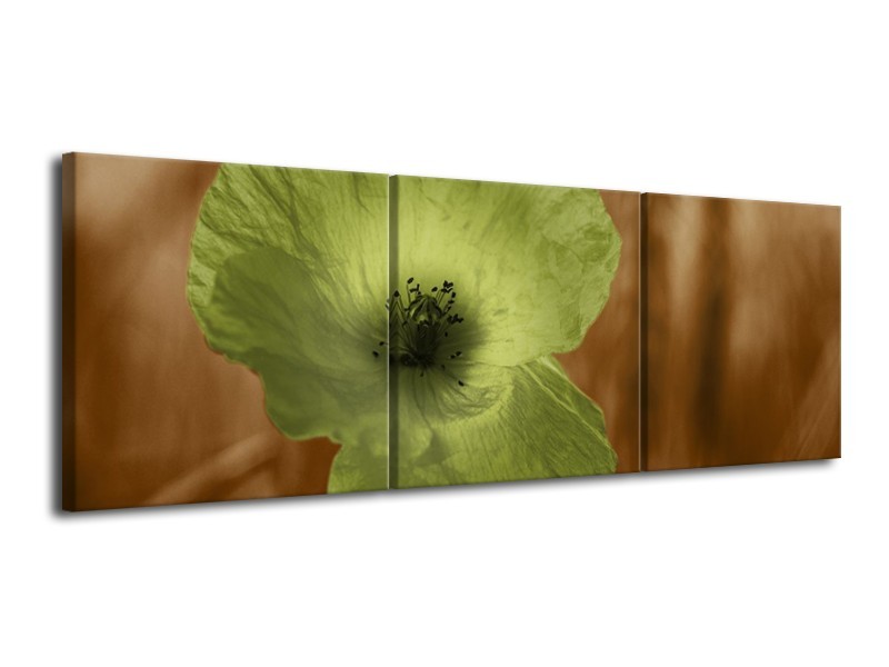 Canvas schilderij Klaproos | Bruin, Groen, Zwart | 120x40cm 3Luik
