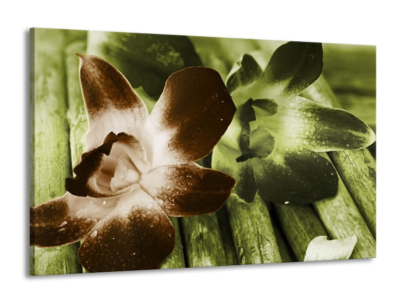 Canvas schilderij Bloem | Groen, Bruin, Wit | 140x90cm 1Luik