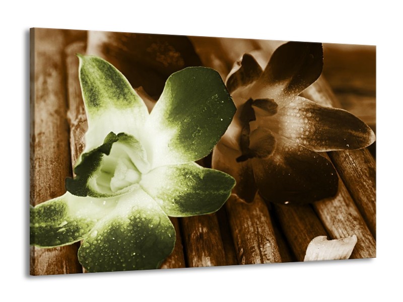 Canvas schilderij Bloem | Groen, Bruin, Wit | 140x90cm 1Luik