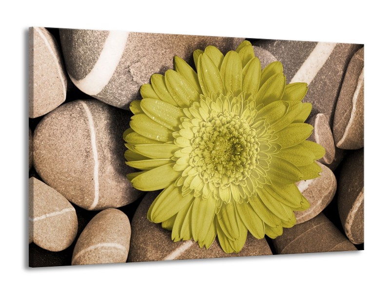 Canvas schilderij Bloem | Groen, Bruin, Wit | 140x90cm 1Luik