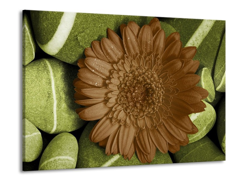 Canvas schilderij Bloem | Groen, Bruin, Wit | 100x70cm 1Luik