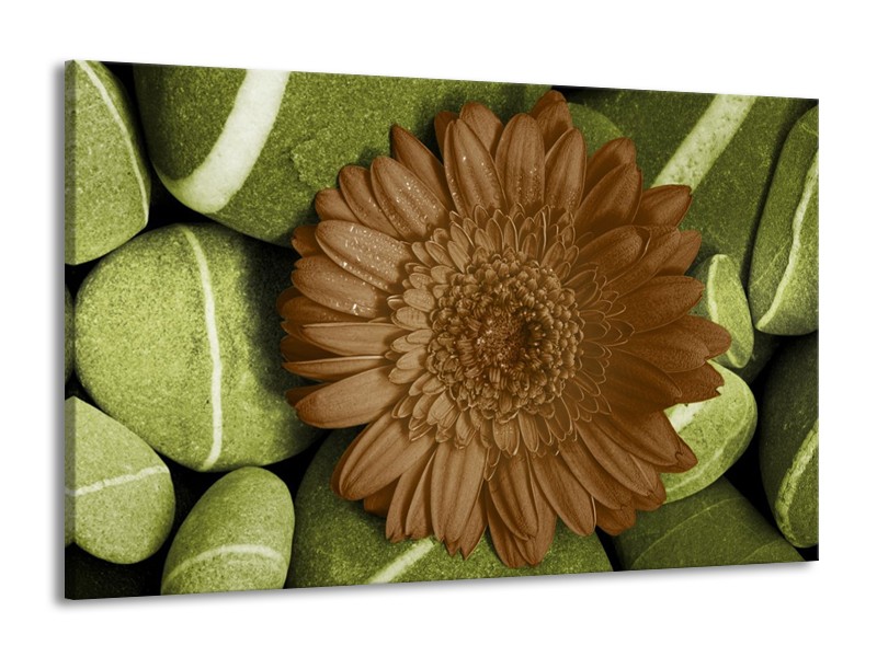 Canvas schilderij Bloem | Groen, Bruin, Wit | 140x90cm 1Luik