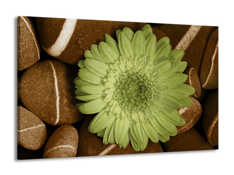 Canvas schilderij Bloem | Groen, Bruin, Wit | 140x90cm 1Luik