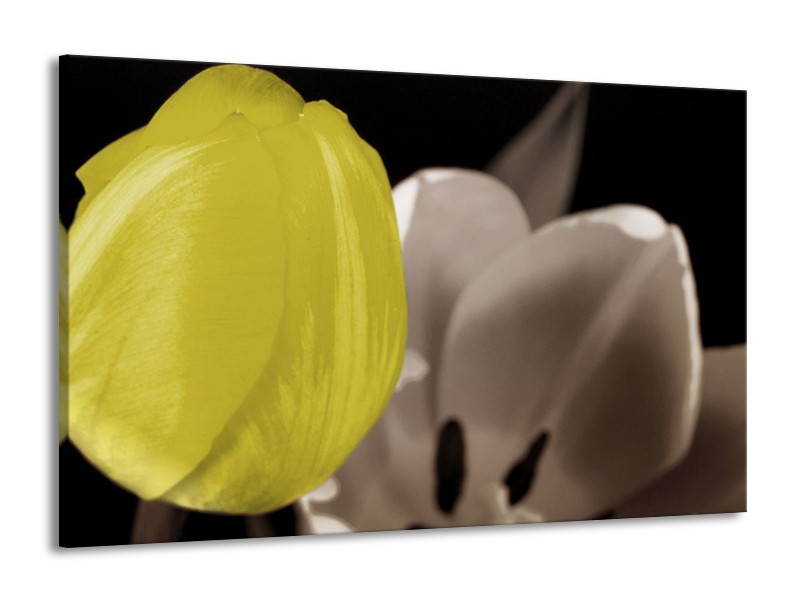 Canvas schilderij Tulp | Geel, Grijs, Zwart | 140x90cm 1Luik