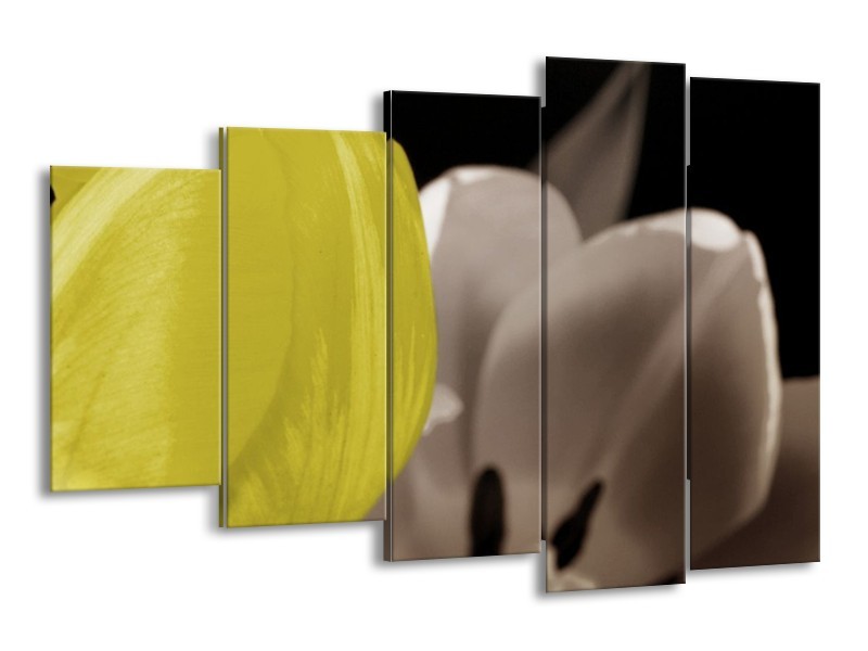 Canvas schilderij Tulp | Geel, Grijs, Zwart | 150x100cm 5Luik